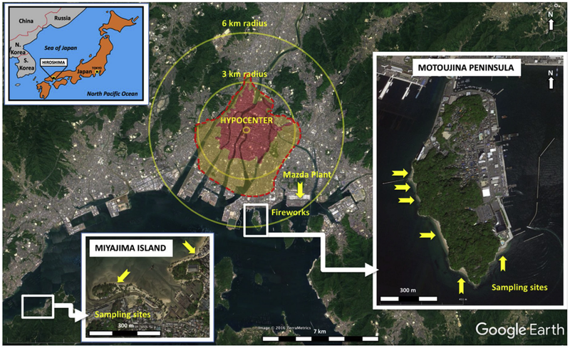 Hiroshima city and bay area with location of the A-bomb hypocenter.
